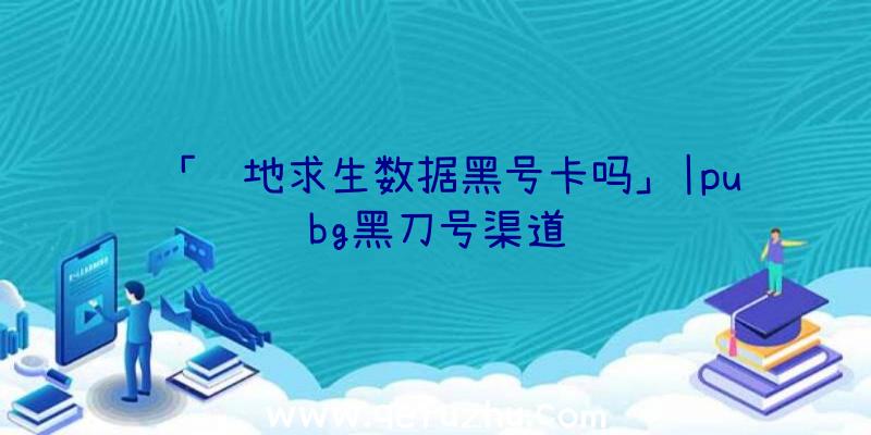「绝地求生数据黑号卡吗」|pubg黑刀号渠道